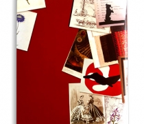 UCD Special Collections Booklet