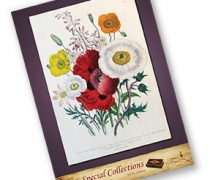 UCD Special Collections Posters - Size A1