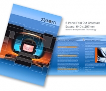Steorn - 6 Panel Brochure